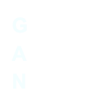 G
A
N